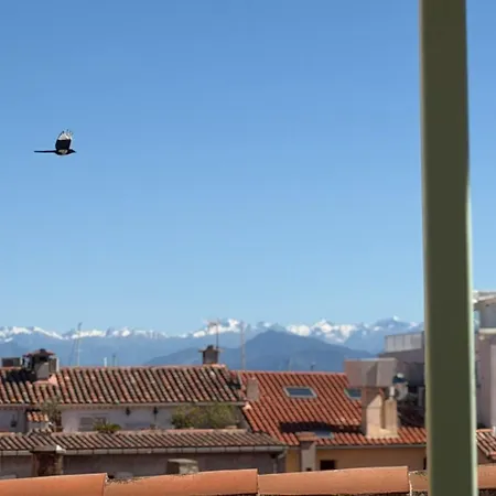 Apartment Le Rooftop Antibois - Au Coeur Du Vieil Antibes